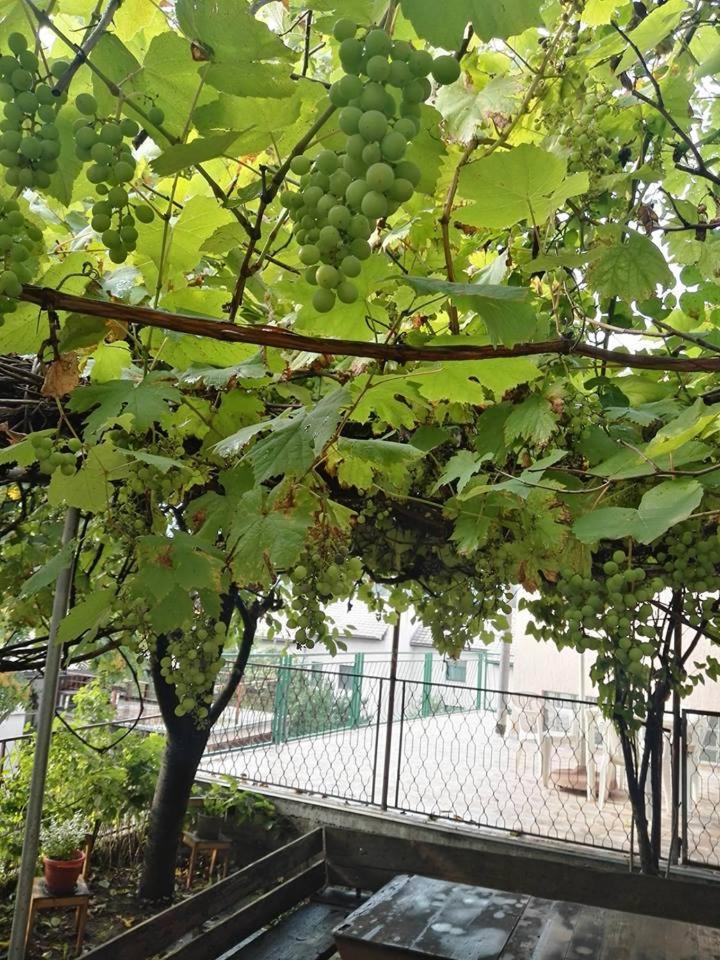 סראייבו Apartment Panorama מראה חיצוני תמונה